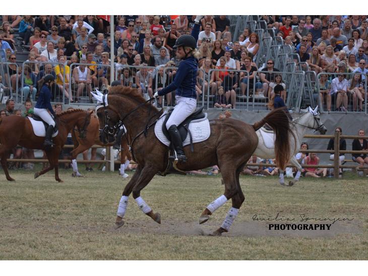 {{currentPhoto.altText}} billede {{currentPhoto.number}}