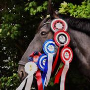 Oldenborg Olfert almager