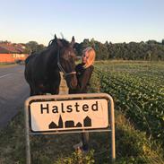 Oldenborg Olfert almager