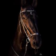 Oldenborg Olfert almager