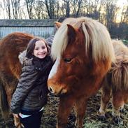 Islænder Steik Fra Ny Amtoftgaard