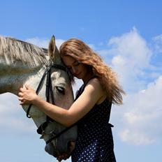 Anglo Araber (AA) Kessler