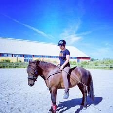 Islænder Fengur Frá Bjergesø