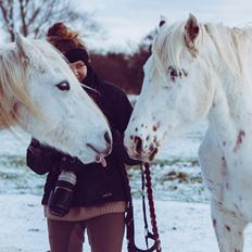Connemara Dambækgårds Rubbin