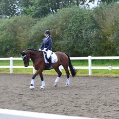 Anden særlig race Enghavegaards Fifty Cent