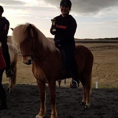 Islænder Dyggð Frá Skipanesi