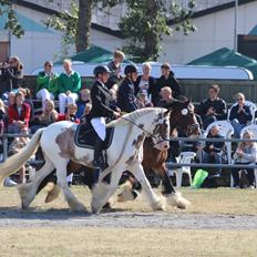 Tinker Kenzo's Laguna 