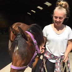 Anden særlig race Leitner's Miley (Lille My)