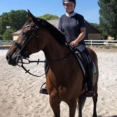 DSP Nørlunds makupa