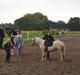 Welsh Partbred (Sec F) Marnows princess pink