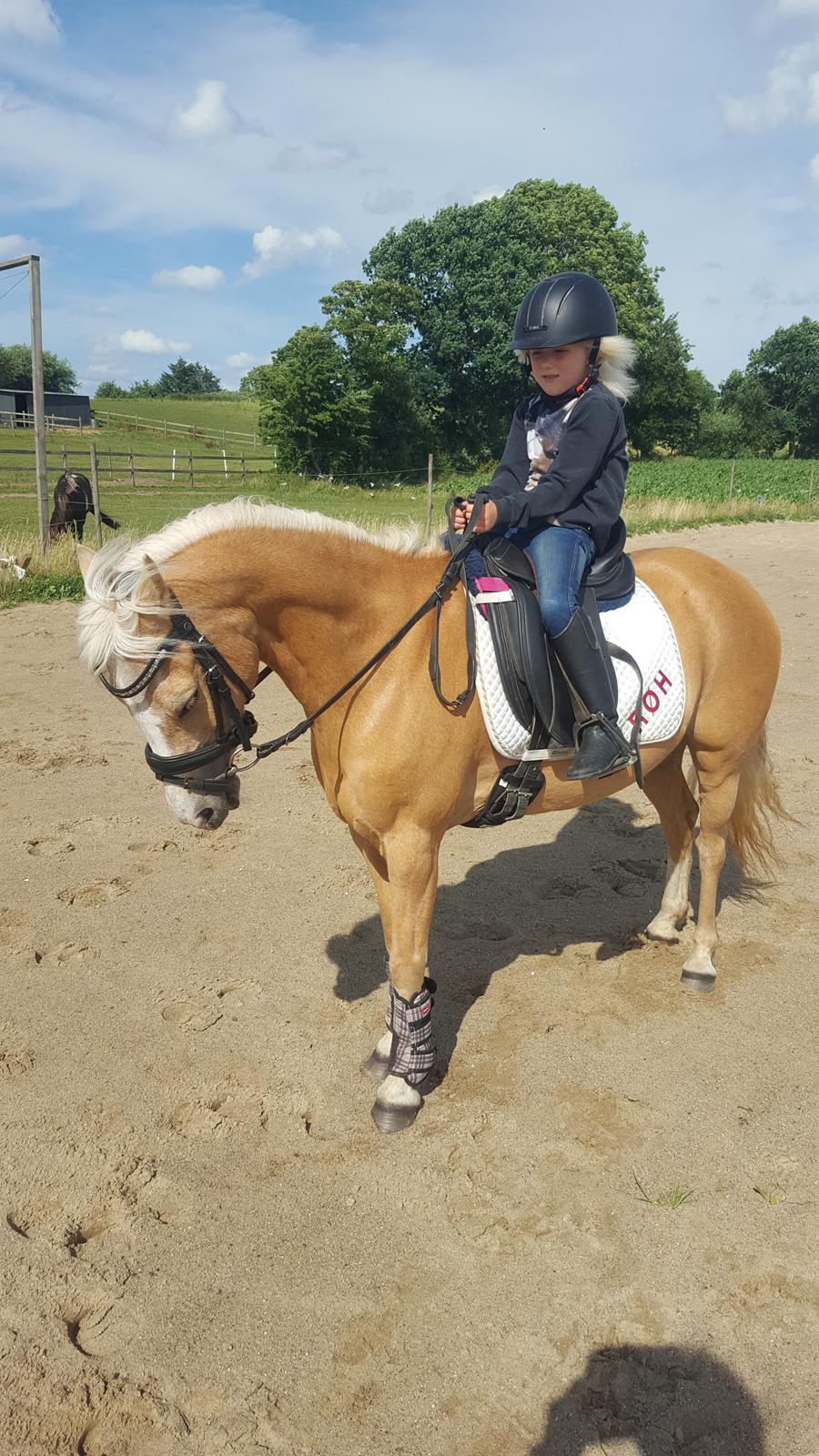 Anden særlig race Guldlok aka Gurli (RIP) billede 3