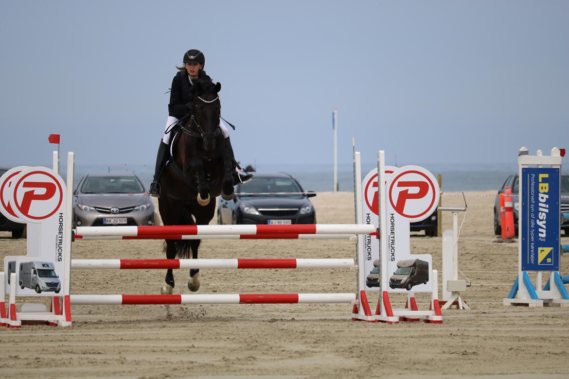 Dansk Varmblod Tranholms Santiago - Rømø Beach Jump 2018 billede 16