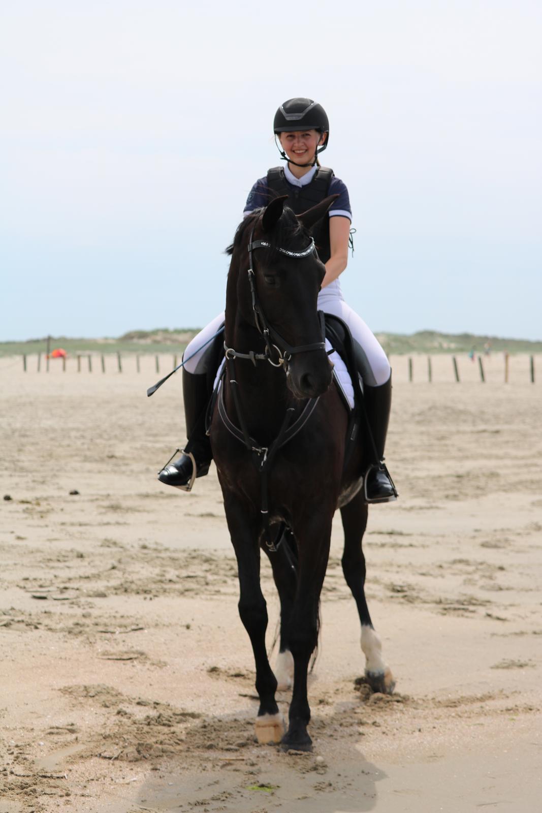 Dansk Varmblod Tranholms Santiago - Rømø Beach Jump 2018 billede 3