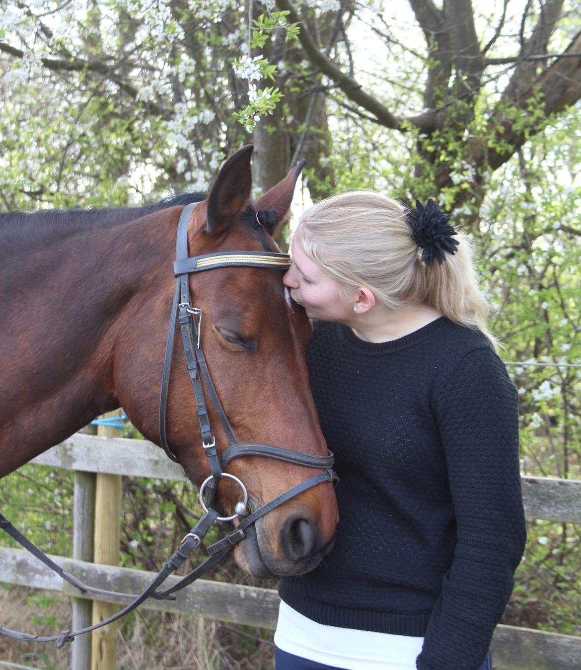 Anden særlig race Karlsbjerggårds sakia billede 8