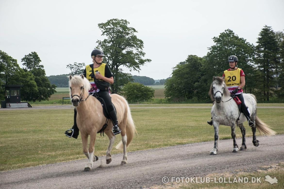 Islænder Jònina fra Isafold  billede 18
