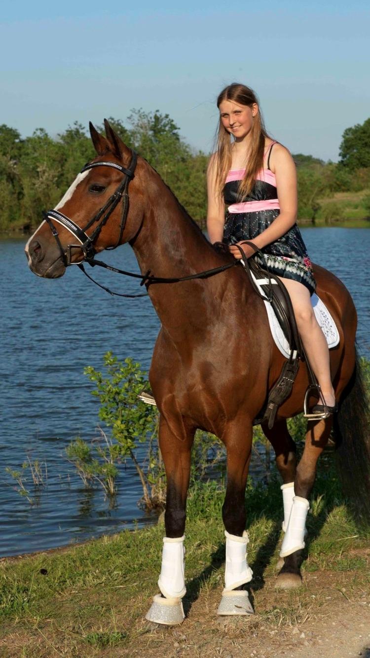 Hollandsk Varmblod Tamira billede 6