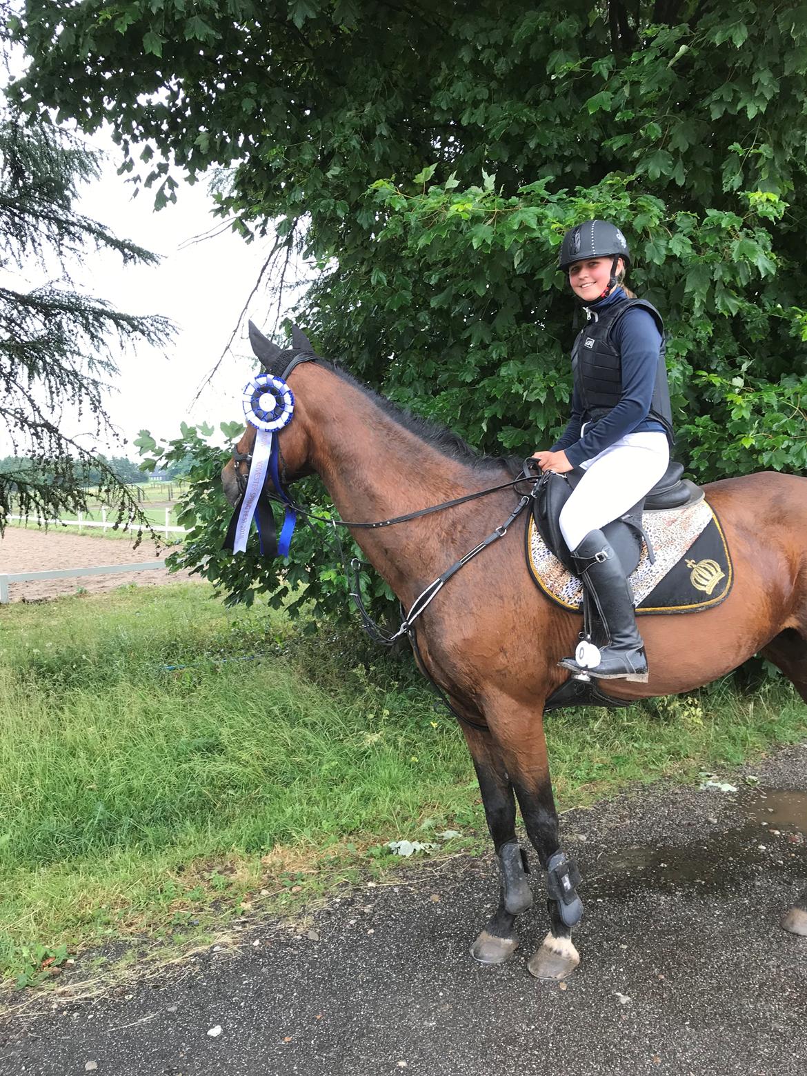 Hollandsk Varmblod Tamira billede 10