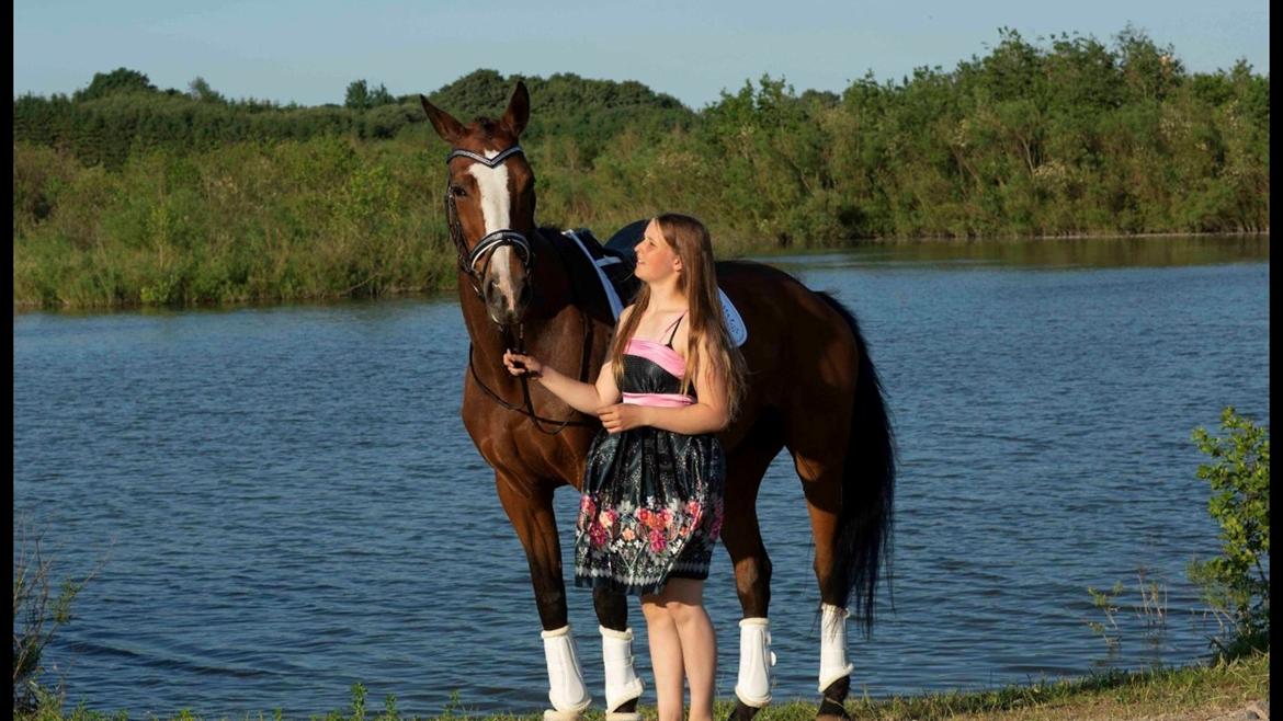 Hollandsk Varmblod Tamira billede 21