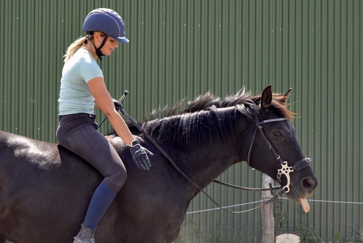 Oldenborg Engtoft's Gordon *RIP* billede 11