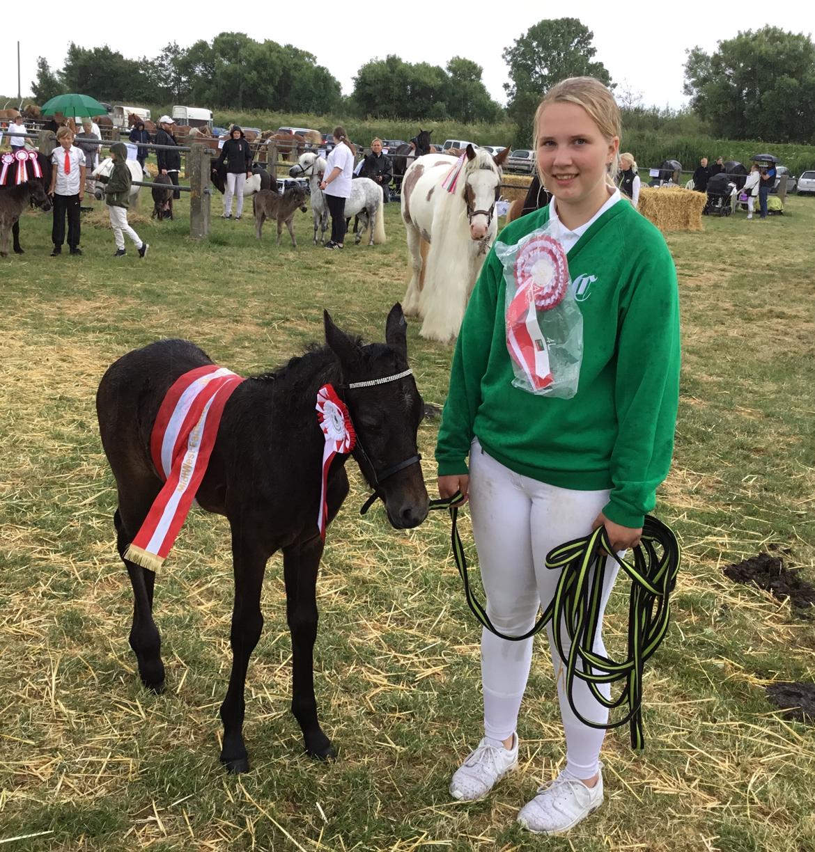 Connemara Ålskovs Wizzard billede 15