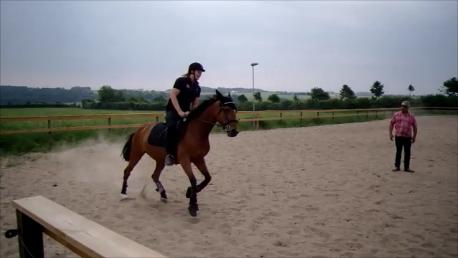 Traver Return Sujaki - Baby billede 17