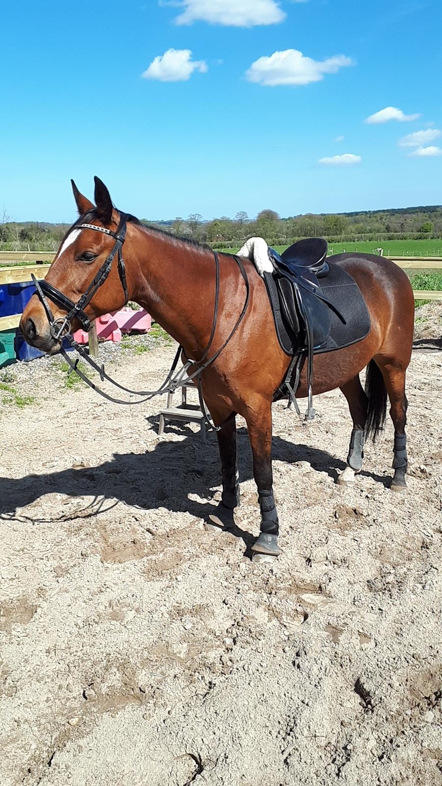 Traver Return Sujaki - Baby billede 14