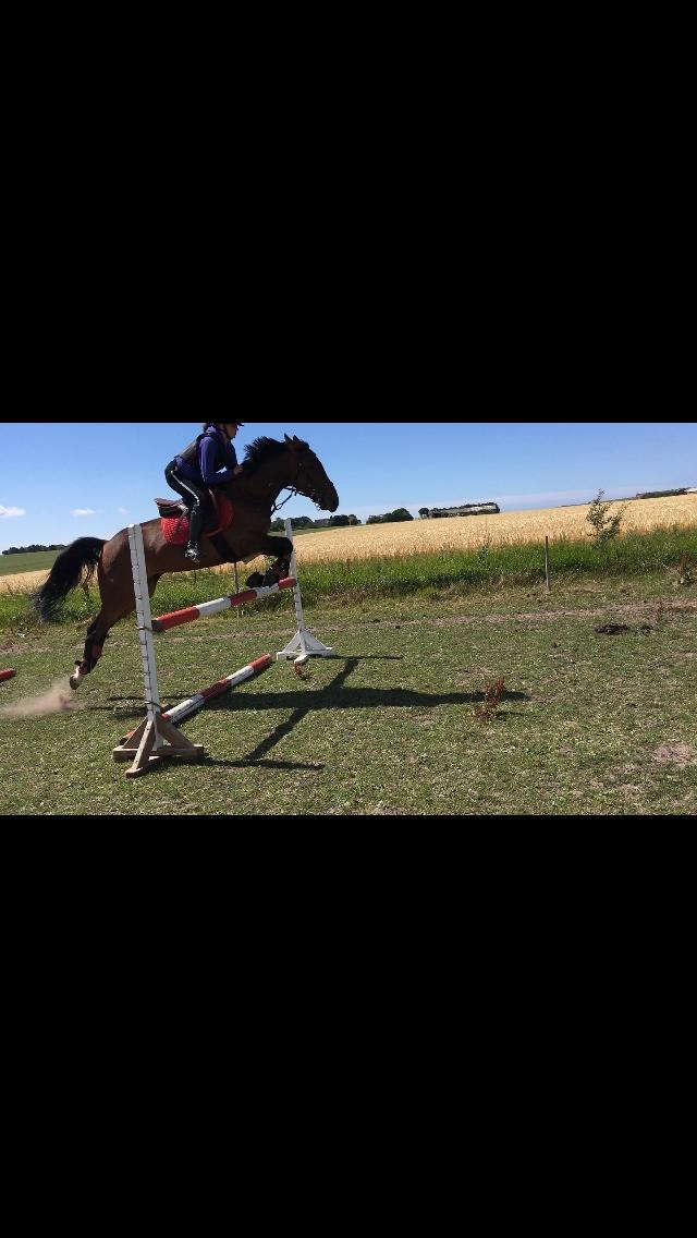 Traver Bette Nøk S - Anden gang vi springer 90cm billede 19