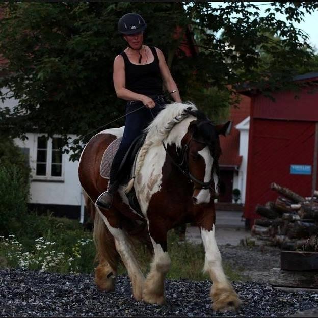 Tinker Little Miss Daisy   billede 2