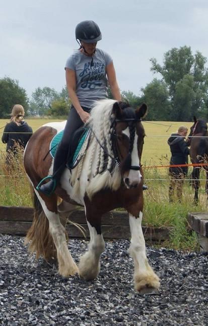 Tinker Little Miss Daisy   billede 3