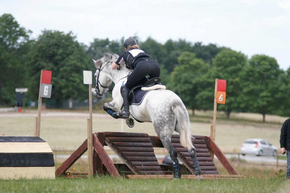 Connemara Bisgaard's Sputnik billede 6