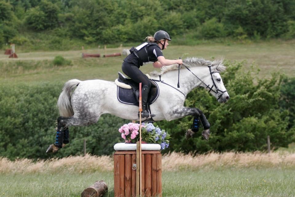 Connemara Bisgaard's Sputnik billede 1