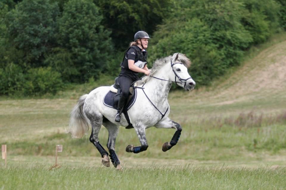 Connemara Bisgaard's Sputnik billede 2