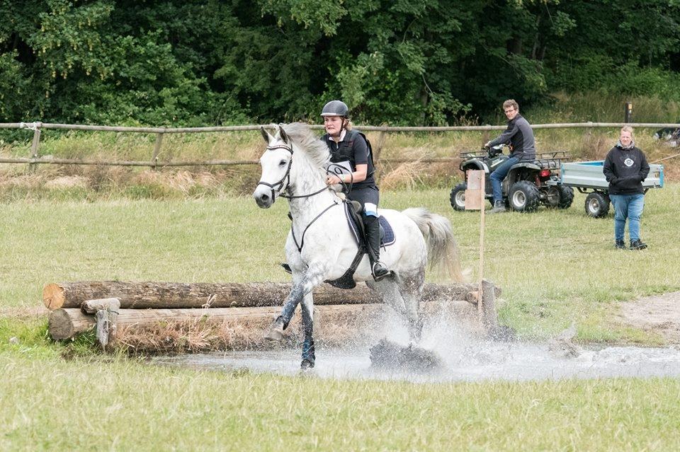 Connemara Bisgaard's Sputnik billede 3