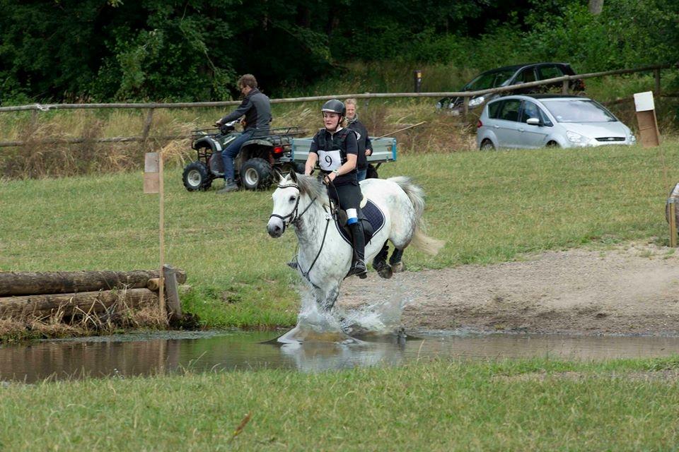 Connemara Bisgaard's Sputnik billede 5