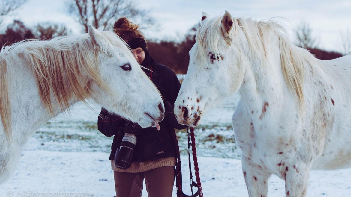 Connemara Dambækgårds Rubbin billede 2