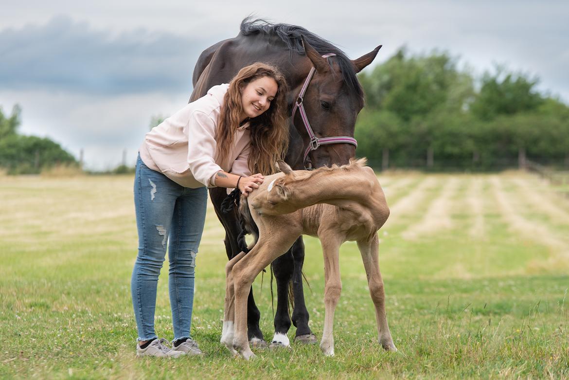 Anden særlig race | Madonna -  ♥ Juni 2018.  billede 9