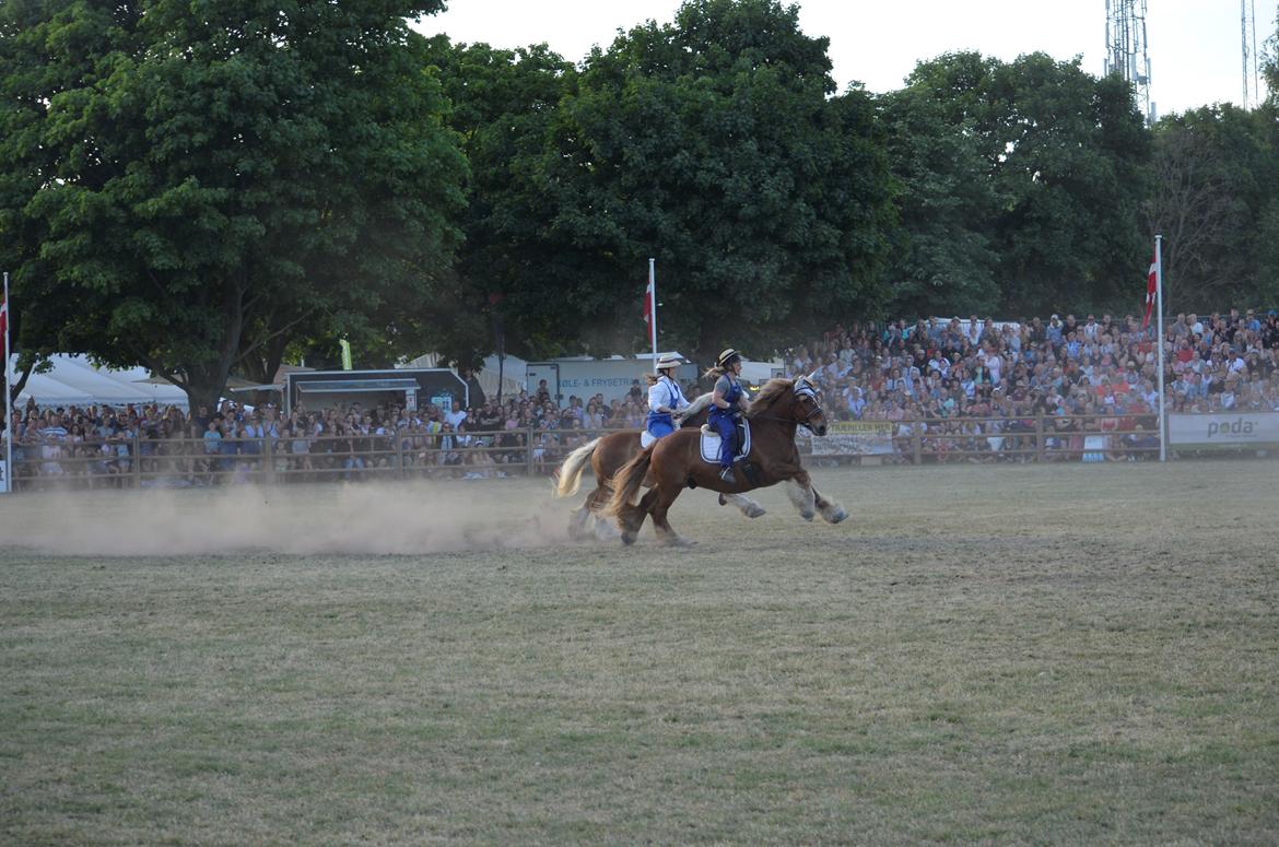 Jyde Thor - Roskilde 2018 billede 5