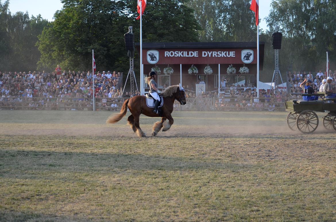 Jyde Thor - Roskilde 2018 billede 3