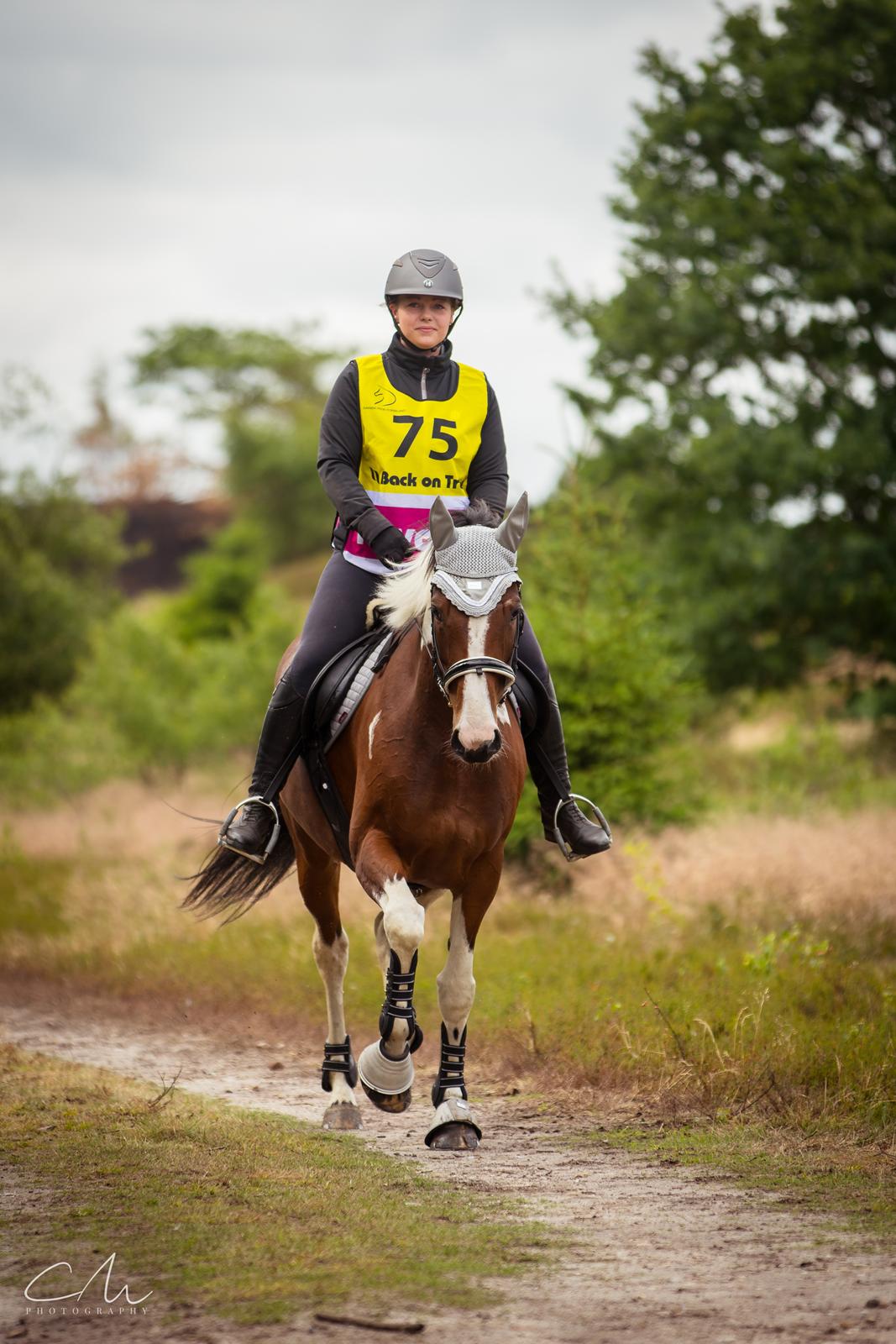 Pinto Elmegårdens Prada - Frederikshåb Ridtet 2018. Foto: CM Photography billede 6