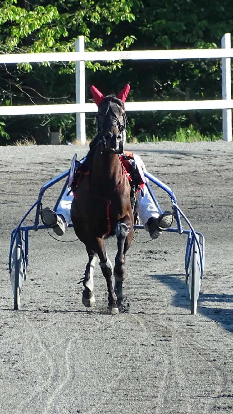 Traver Wanted (S) billede 1