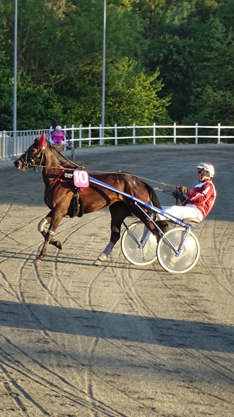 Traver Wanted (S) billede 3