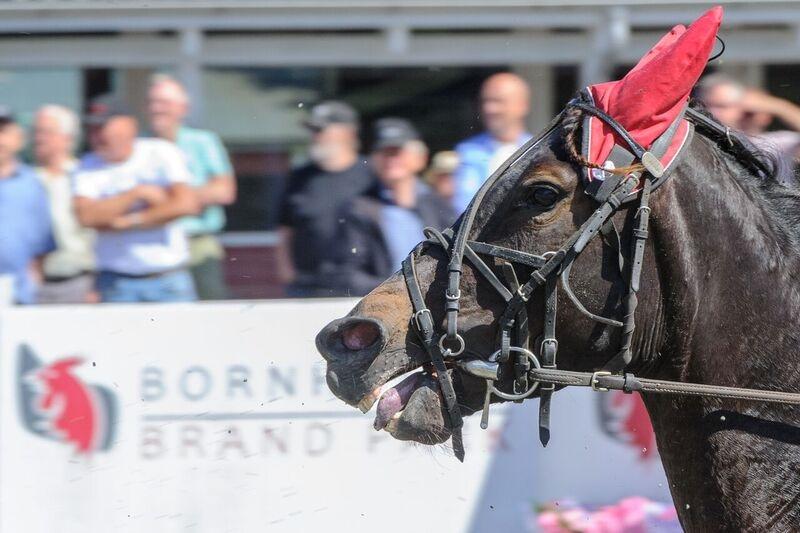 Traver Wanted (S) billede 2