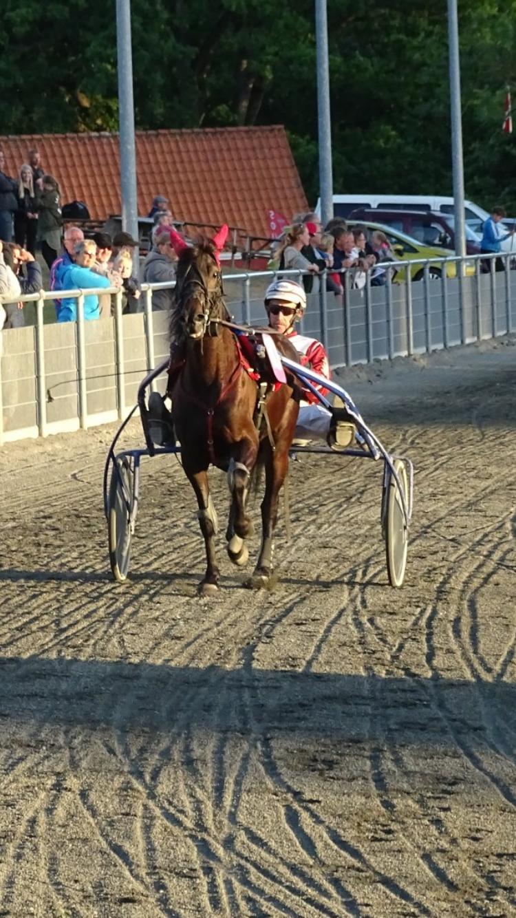 Traver Wanted (S) billede 4