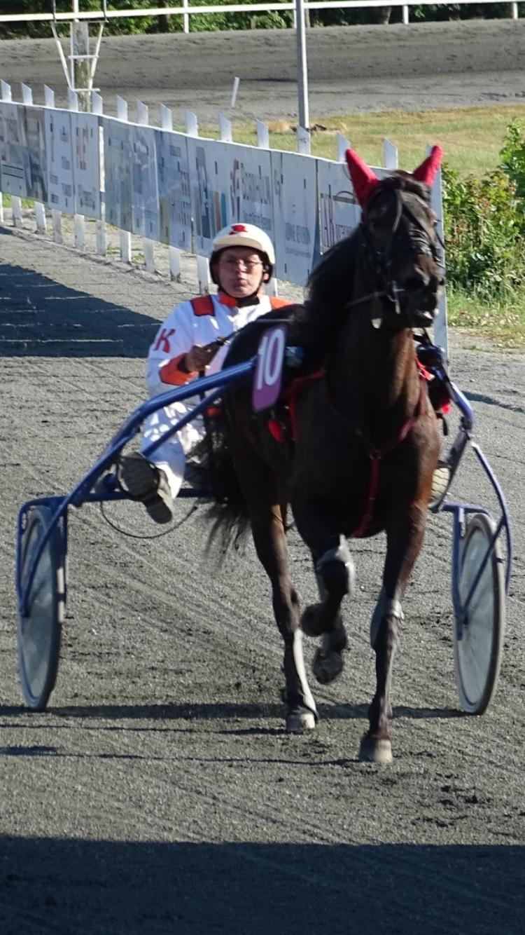 Traver Wanted (S) billede 8