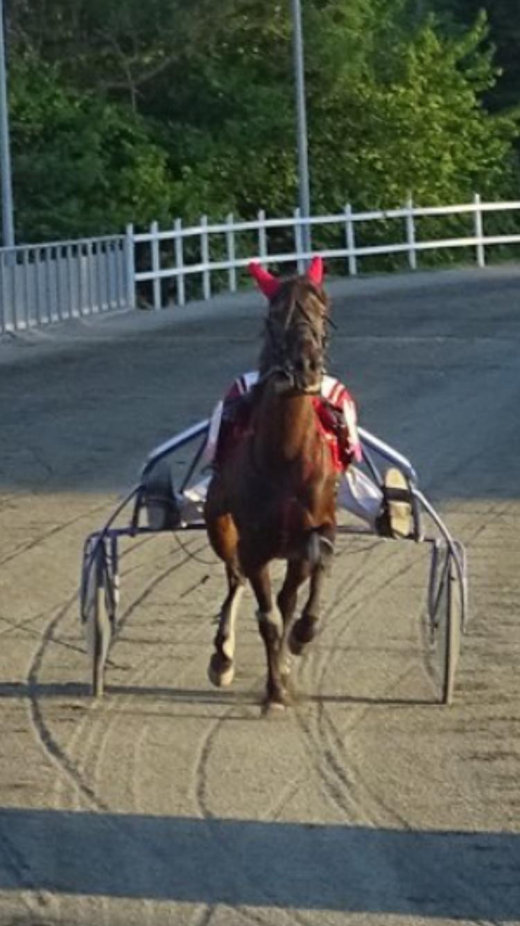 Traver Wanted (S) billede 5