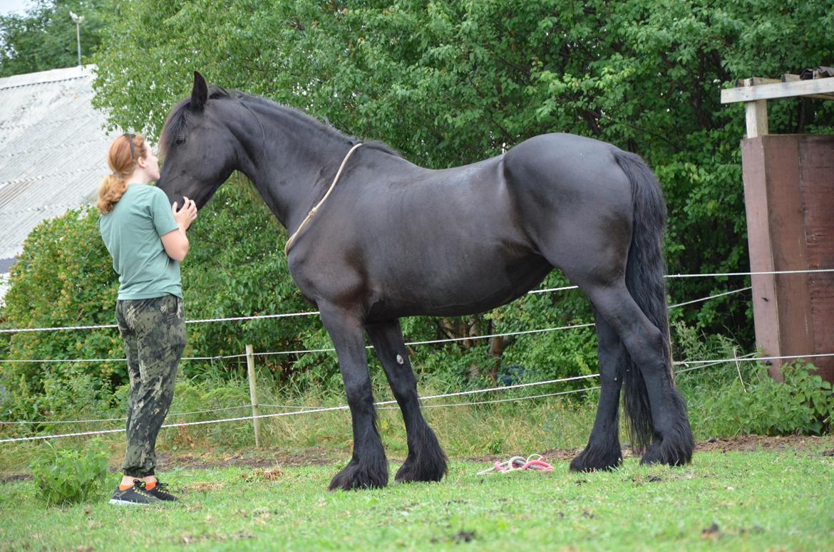 Frieser Silke (The Queen) billede 2