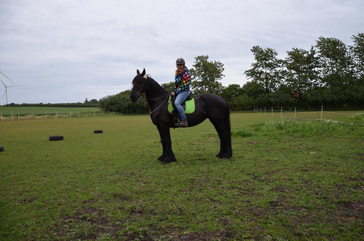 Frieser Silke (The Queen) billede 8