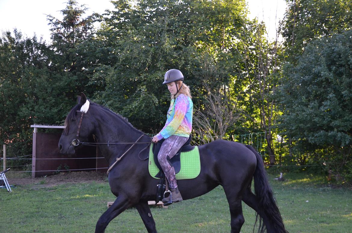 Frieser Silke (The Queen) billede 15