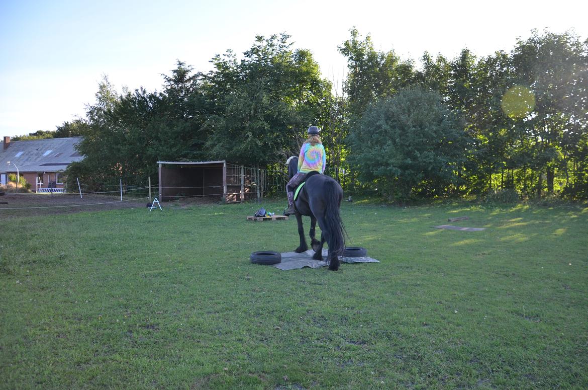 Frieser Silke (The Queen) billede 16