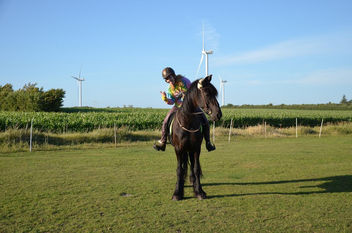 Frieser Silke (The Queen) billede 11